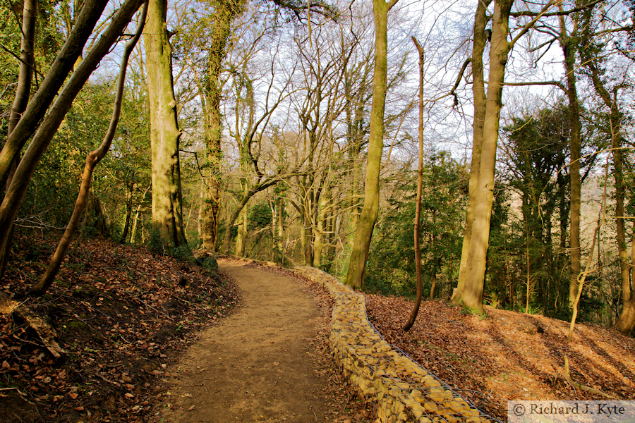 Path to Tinkley Gate, Woodchester Park, Gloucestershire