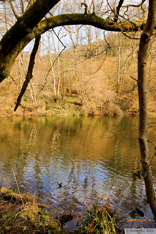 Middle Pond, Woodchester Park, Gloucestershire