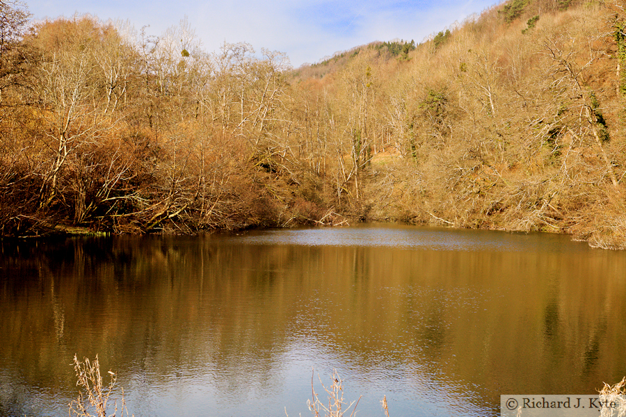 Old Pond, Woodchester Park, Gloucestershire