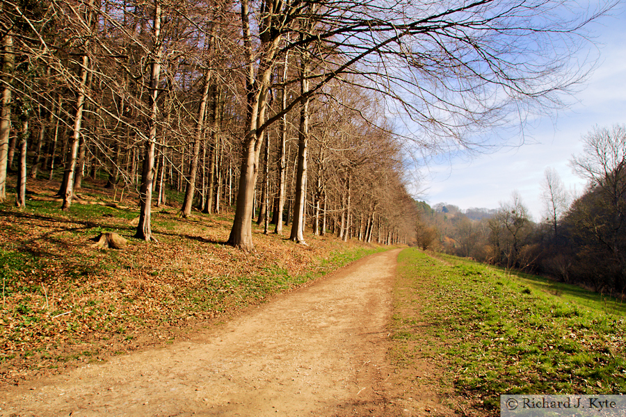 Woodchester Park, Gloucestershire