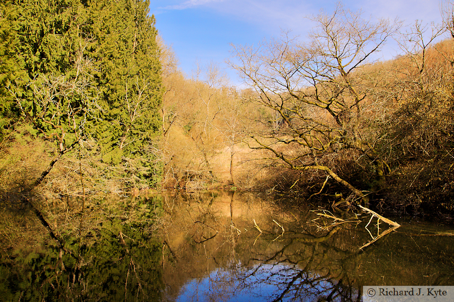 Pond, Woodchester Park, Gloucestershire
