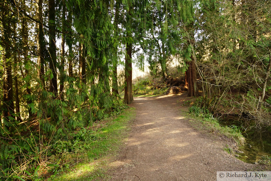 Path to the Boat House, Woodchester Park, Gloucestershire