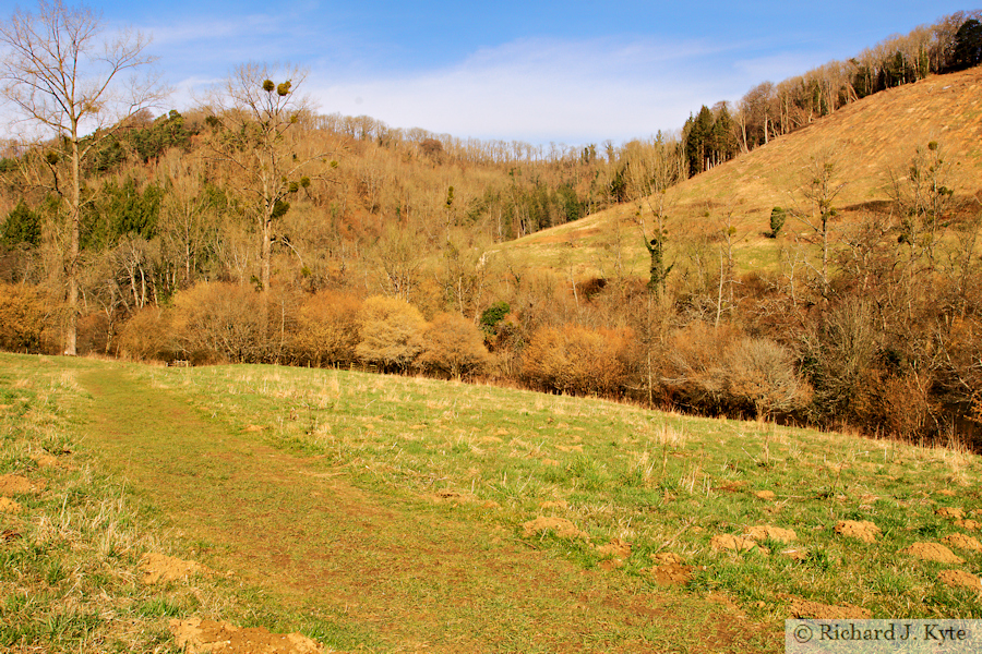 Woodchester Park, Gloucestershire
