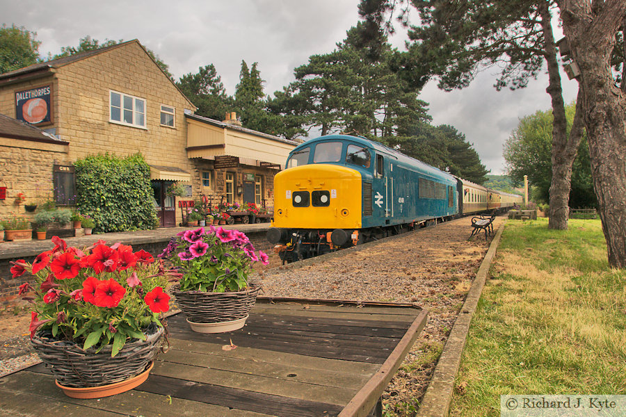 Class 45 Diesel no. 45149 pulls into Gotherington, Gloucestershire Warwickshire Railway Diesel Gala 2024