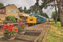 Click to see expanded image