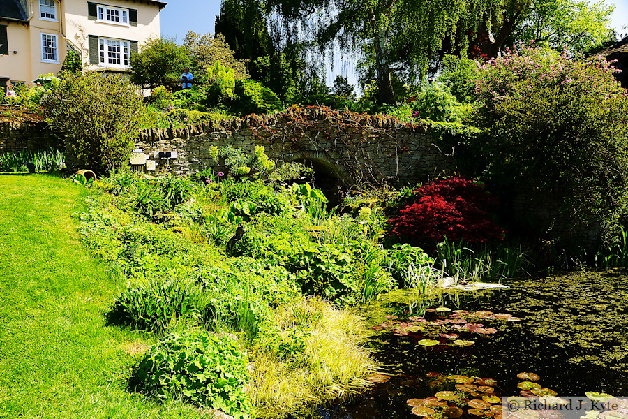 Garden 5 : Cropthorne Court, Cropthorne Walkabout 2018