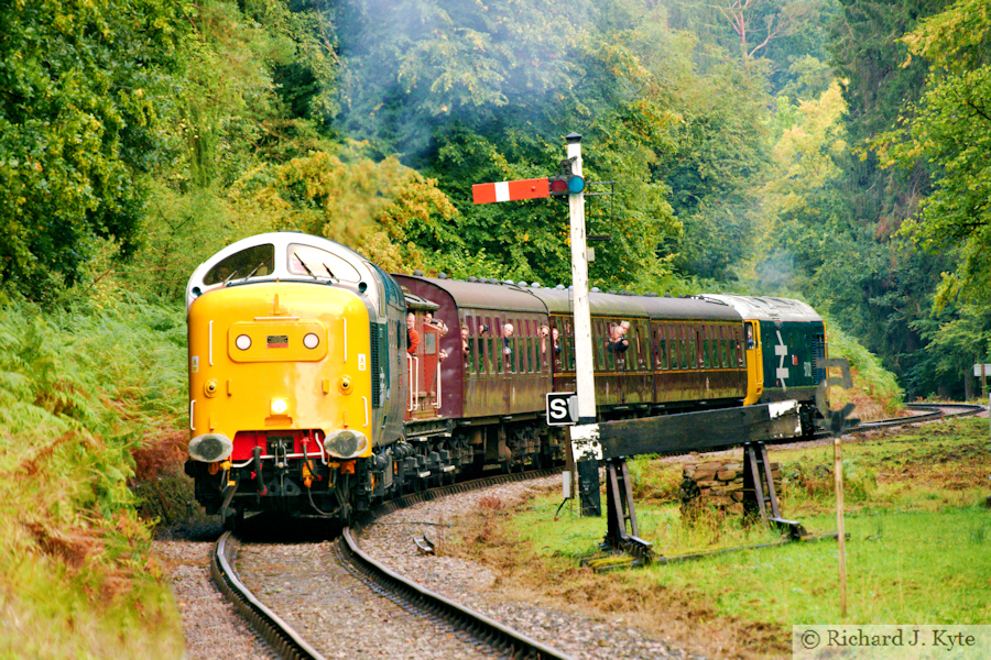 Class 55 Diesel no. 55009 "Alycidon" approaches Parkend, Dean Forest Railway Diesel Gala 2025