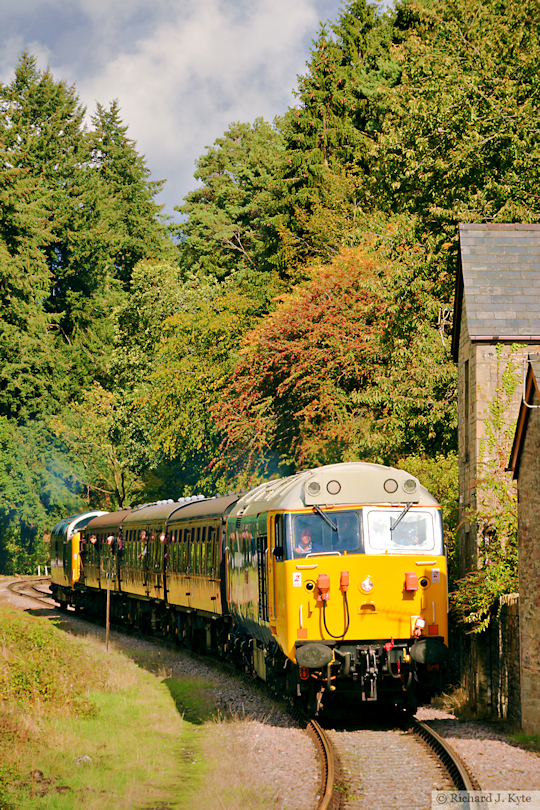 Class 50 Diesel no. 50021 "Rodney" approaches Whitecroft Station, Dean Forest Railway Diesel Gala 2025