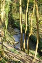 Click to see expanded image