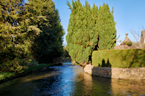 Click to see expanded image