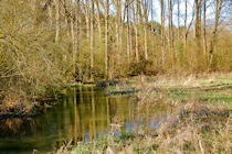 Click to see expanded image