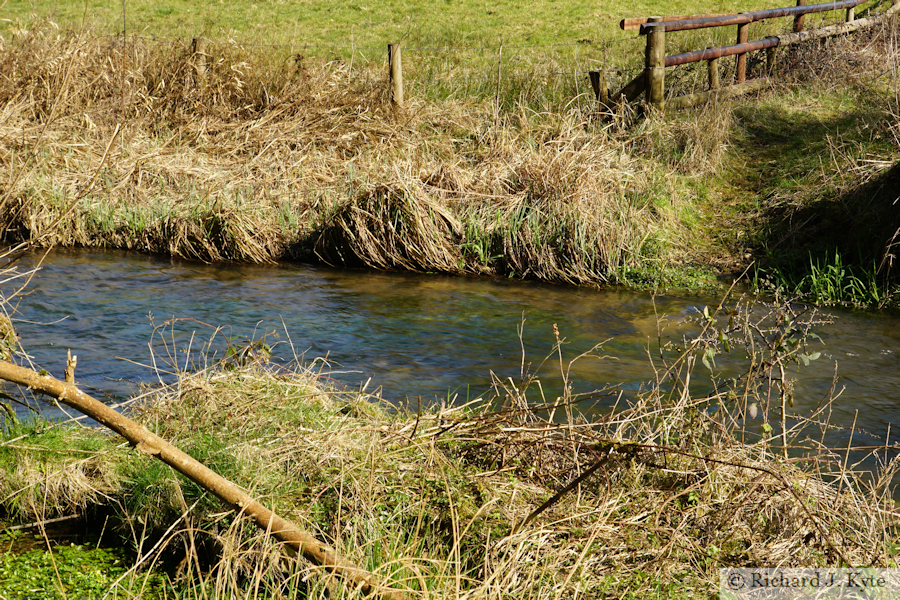 River Windrush, Lower Harford, Cotswolds, Gloucestershire