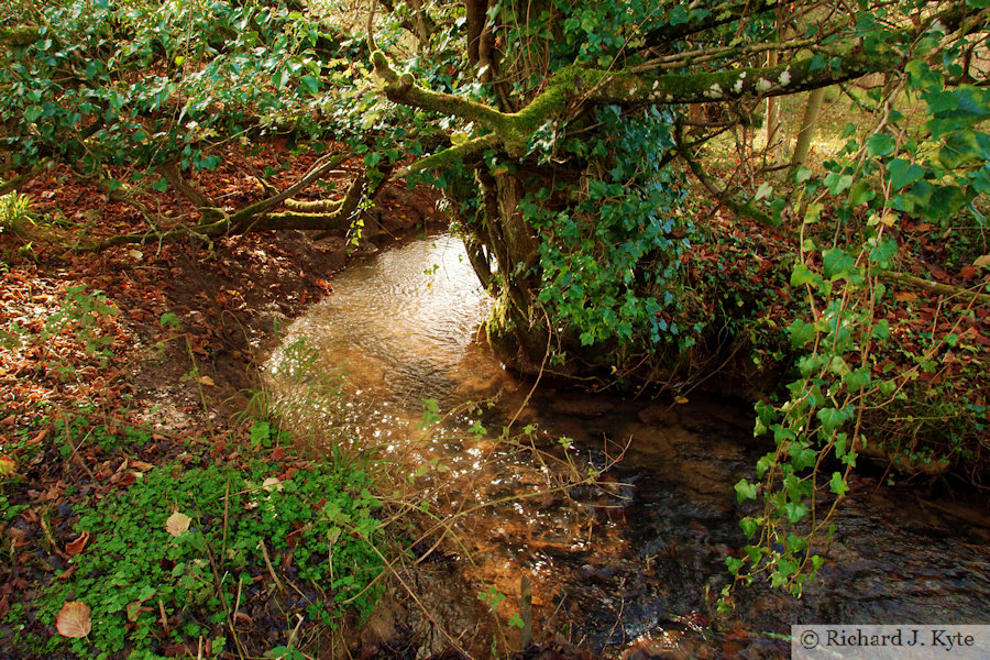 River Windrush, north of Temple Guiting, Gloucestershire