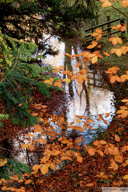 River Windrush, Temple Guiting, The Cotswolds, Gloucestershire