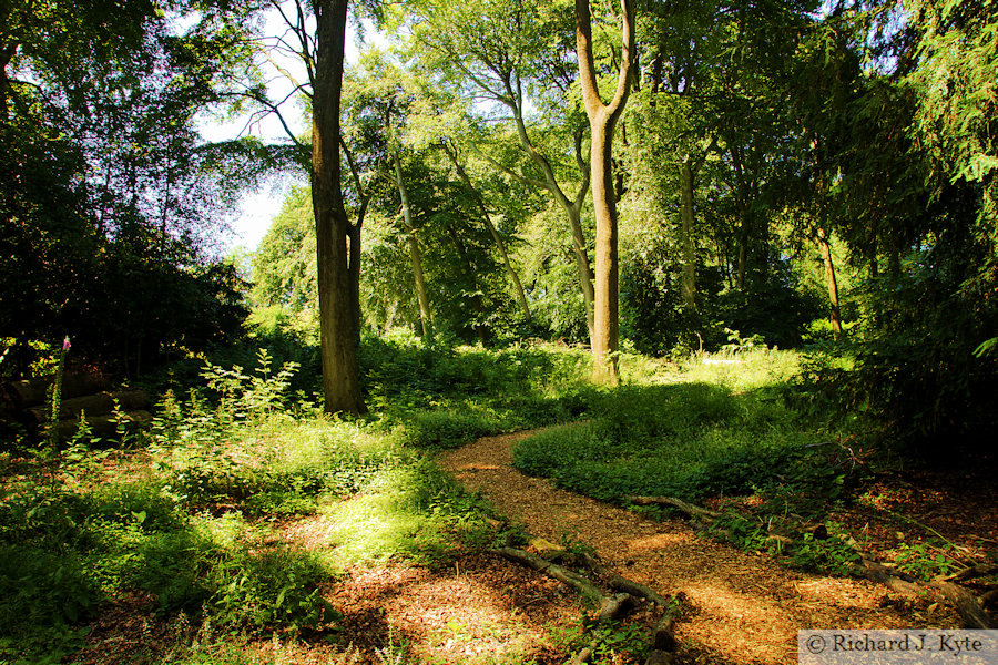 Bluebell Woodland, Nuffield Place, Oxfordshire