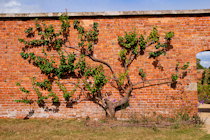 Click to see expanded image