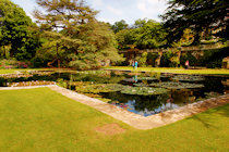 Click to see expanded image