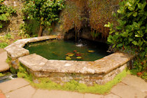 Click to see expanded image