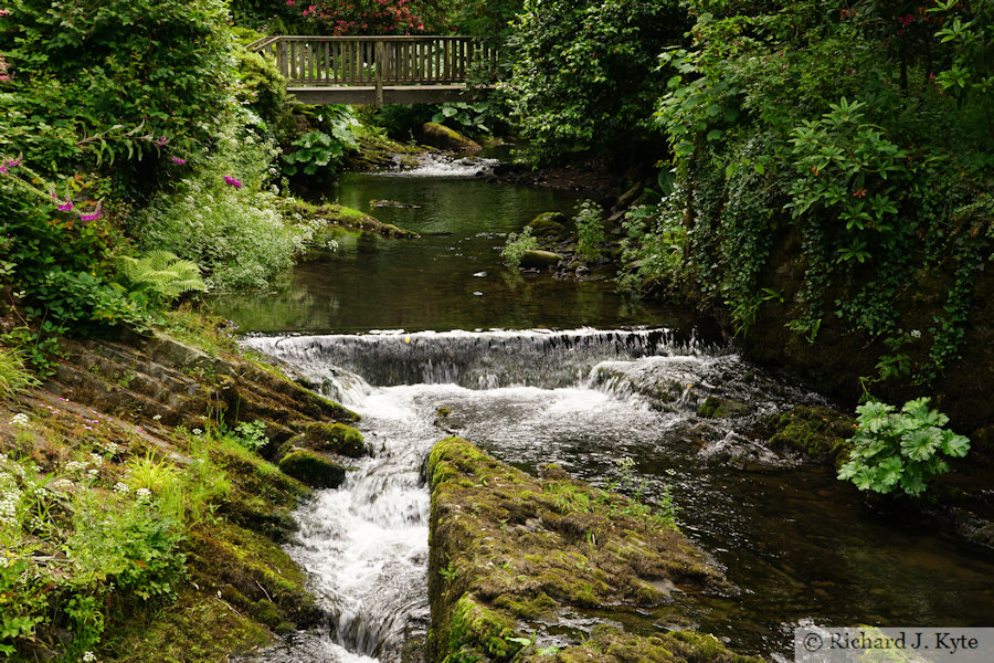 Stream, The Old Mill, Bodnant Garden
