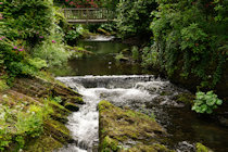 Click to see expanded image