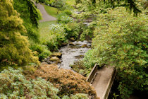 Click to see expanded image