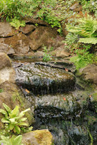 Click to see expanded image