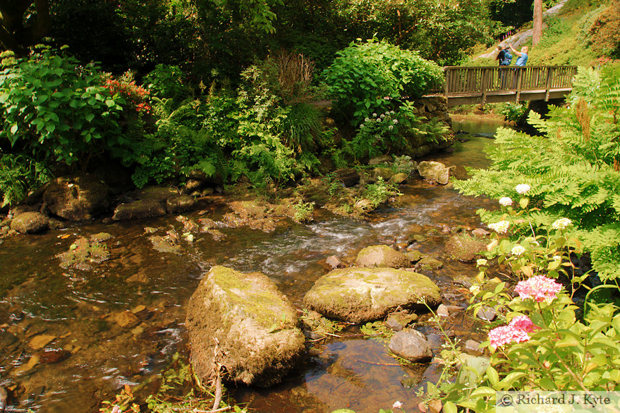 Stream, The Old Mill, Bodnant Garden