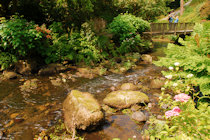 Click to see expanded image