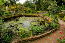 Click to see expanded image