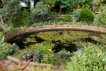 Click to see expanded image