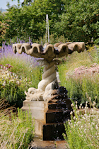 Click to see expanded image