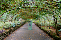 Click to see expanded image