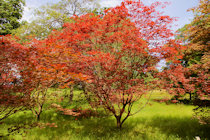 Click to see expanded image