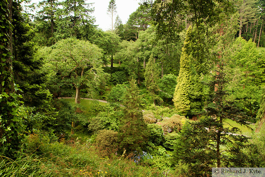 The Glades, Bodnant Garden