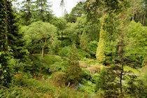 Click to see expanded image