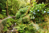 Click to see expanded image