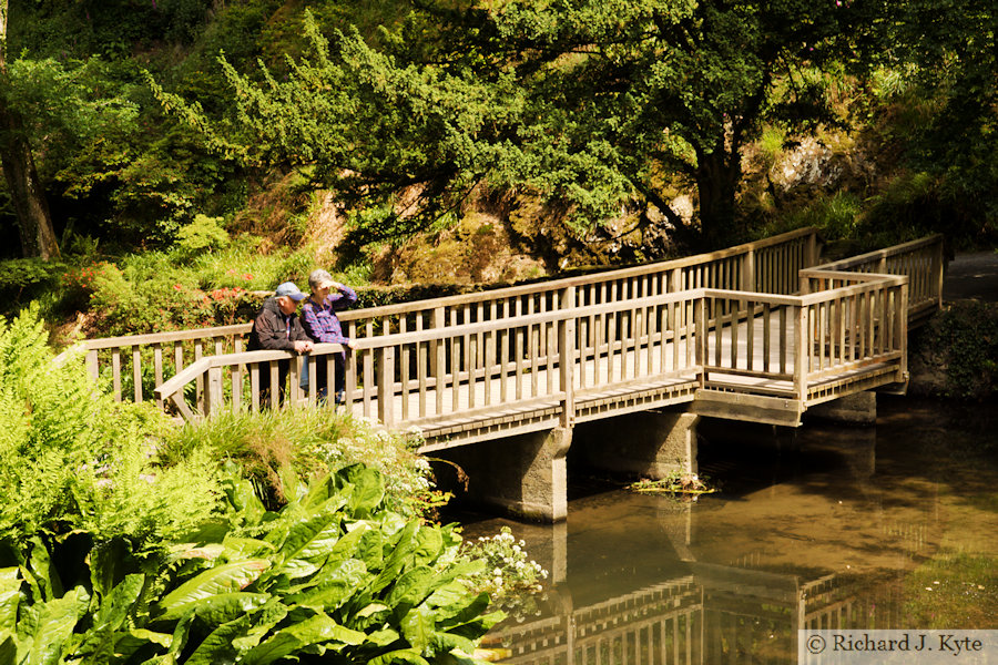 Bridge, Bodnant Garden