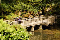 Click to see expanded image