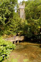 Click to see expanded image