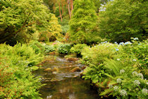 Click to see expanded image