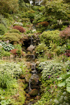 Click to see expanded image