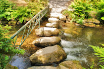 Click to see expanded image