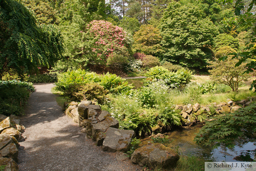 The Dell, Bodnant Garden