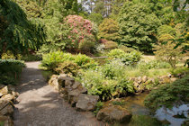 Click to see expanded image