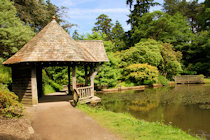 Click to see expanded image