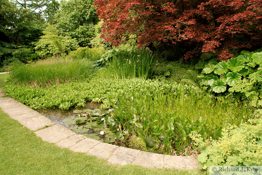 Pond, The Garden, Chirk Castle