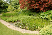 Click to see expanded image