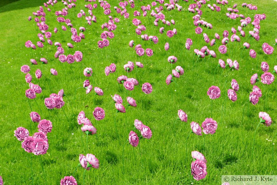 Nightingale House Hospice Peony Meadow, Chirk Castle