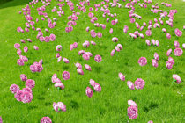 Click to see expanded image