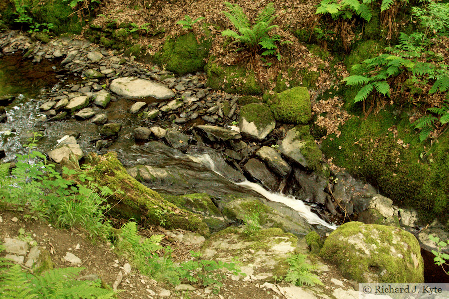Waterfall, Afon Trystion, Cynwyd, Denbighshire